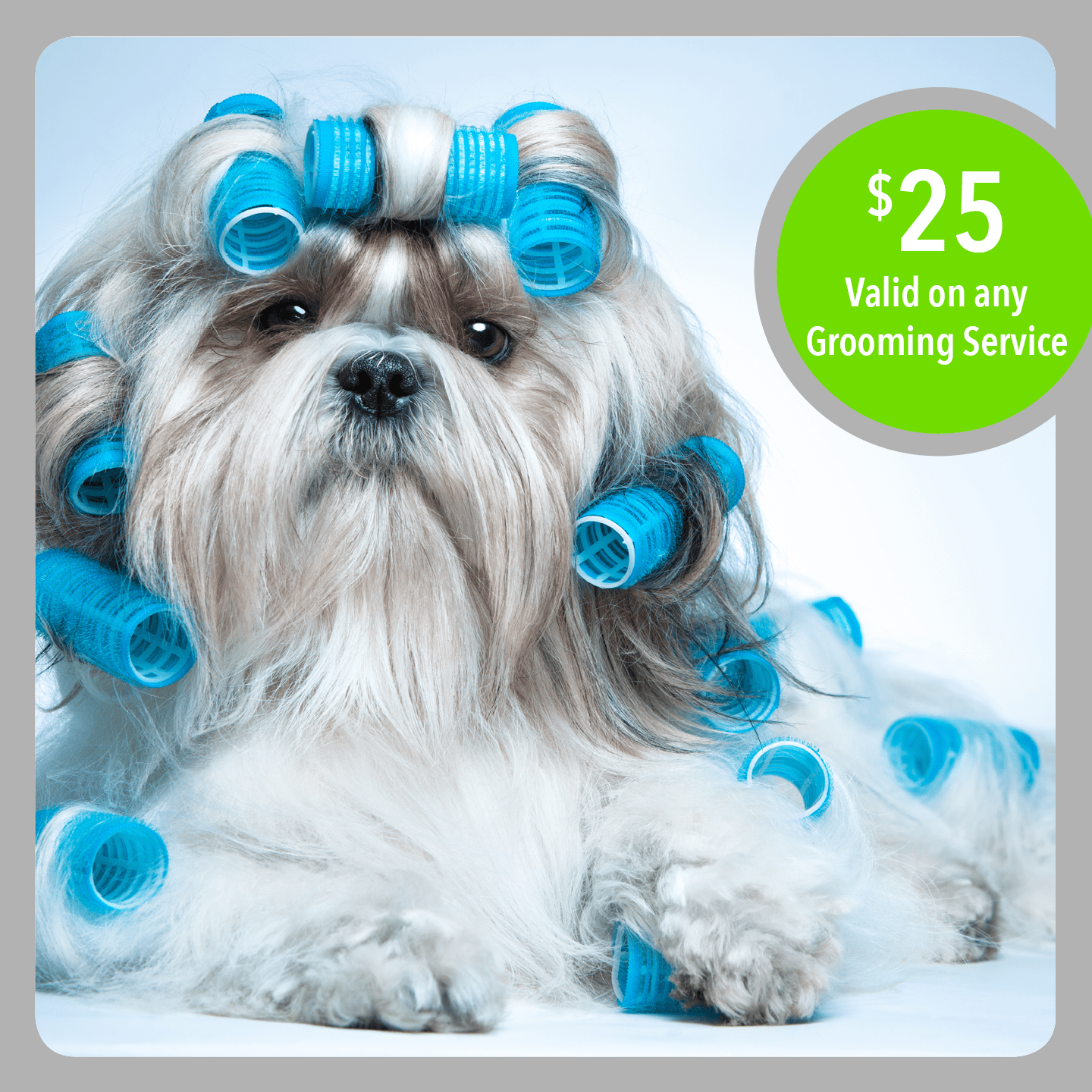 Pet Grooming Gift Card