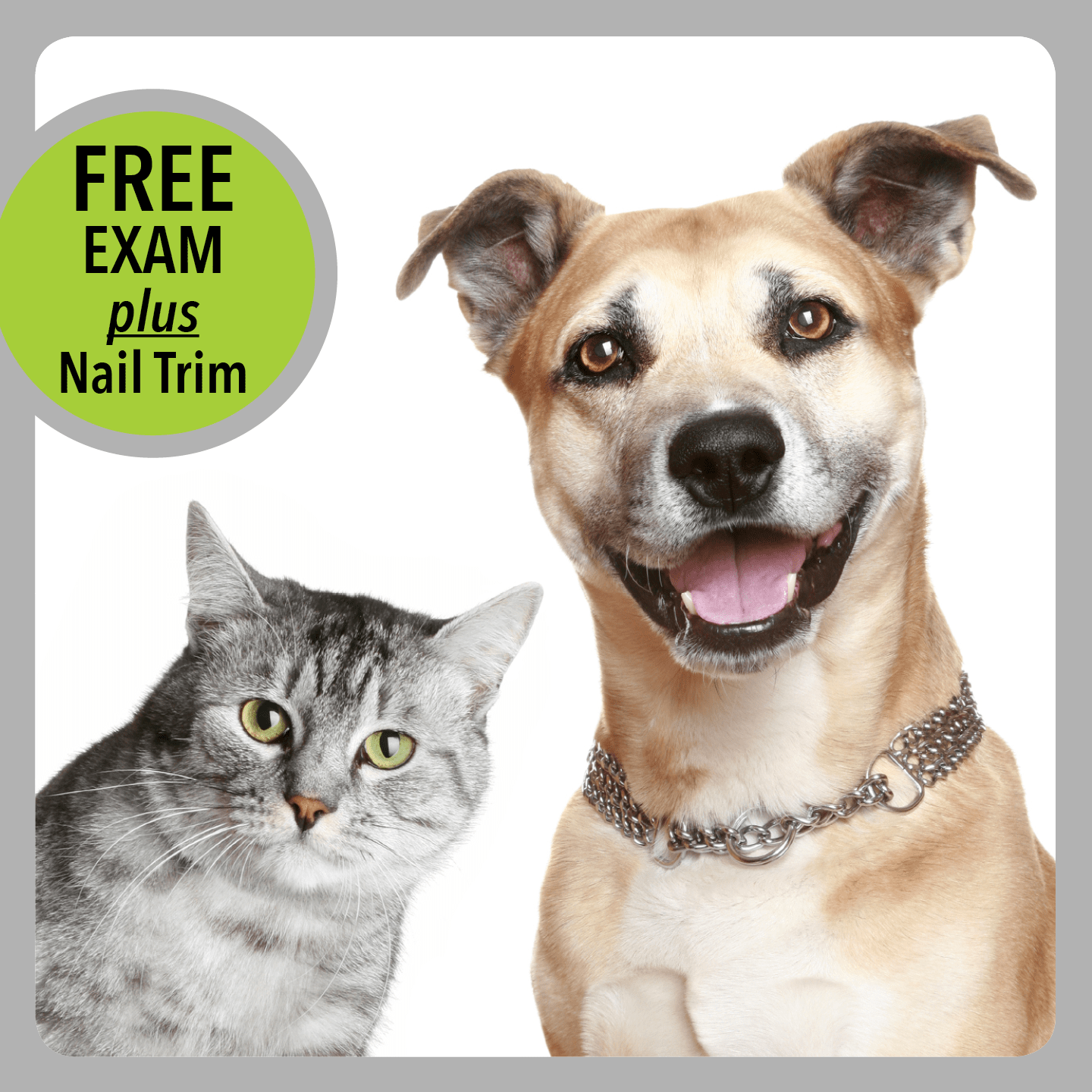 Vet Gift Card